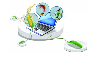 農業電商系統功能清單及技術咨詢解析